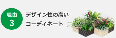 理由 3 デザイン性の高いコーディネート